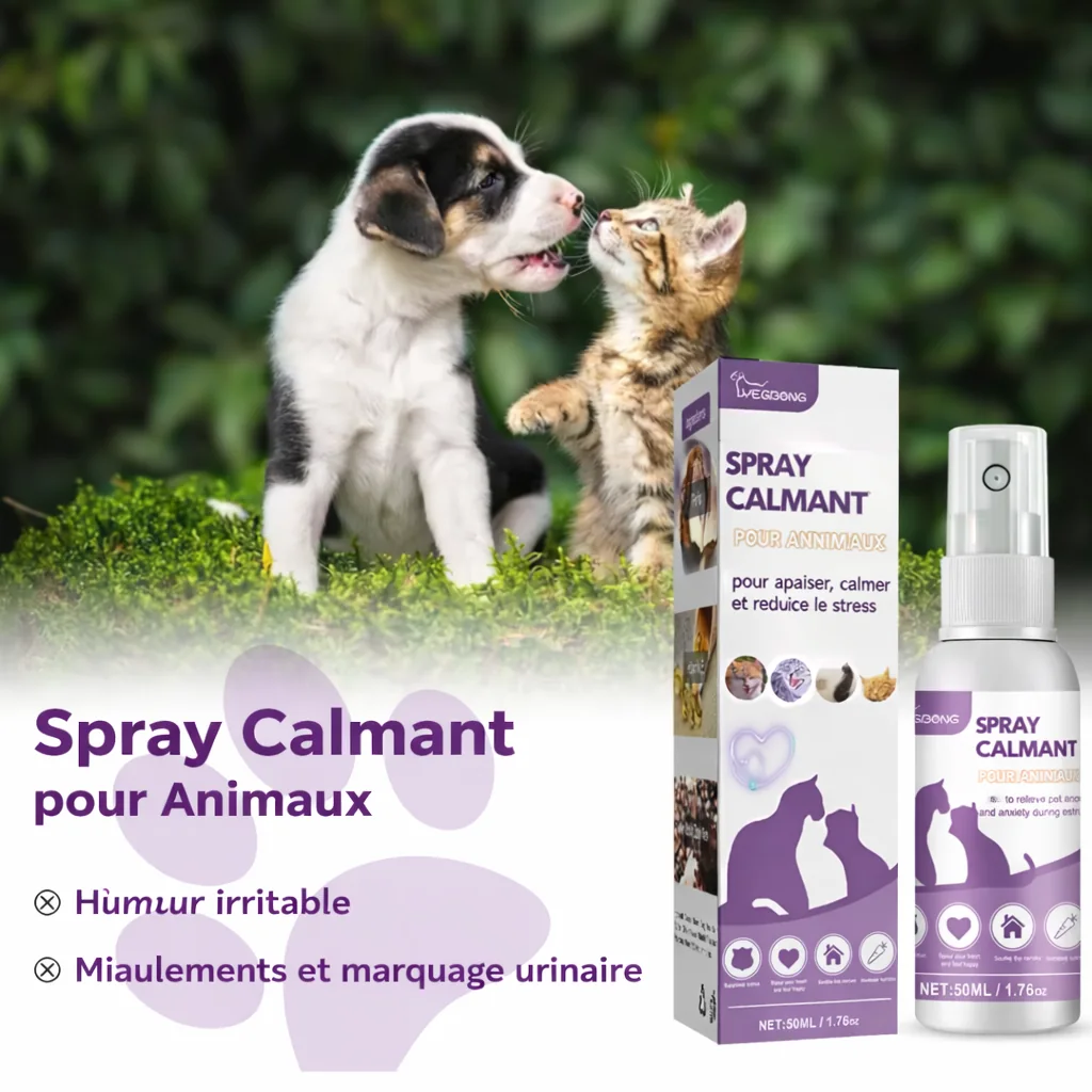 Miniature spray vue 3